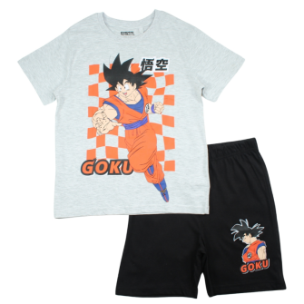 Ensemble 'Dragon ball'